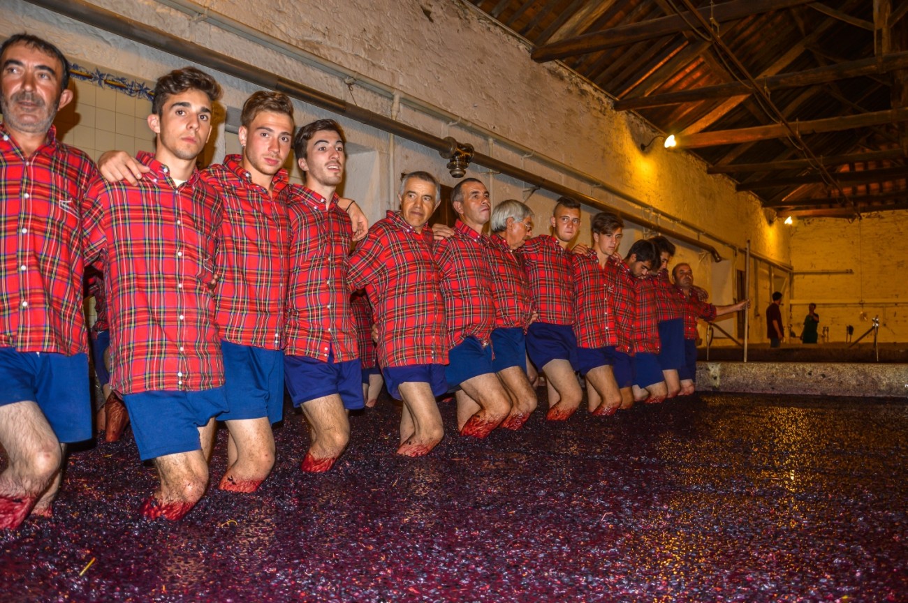 Portugal Douro Weinregion Weingut Trauben treten Lagares Symington