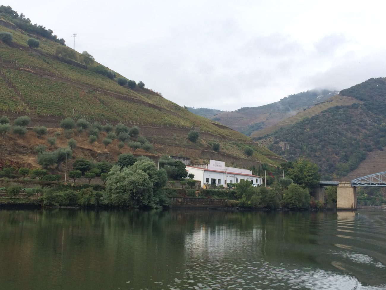 Douro Bootsfahrt Weingüter entdecken