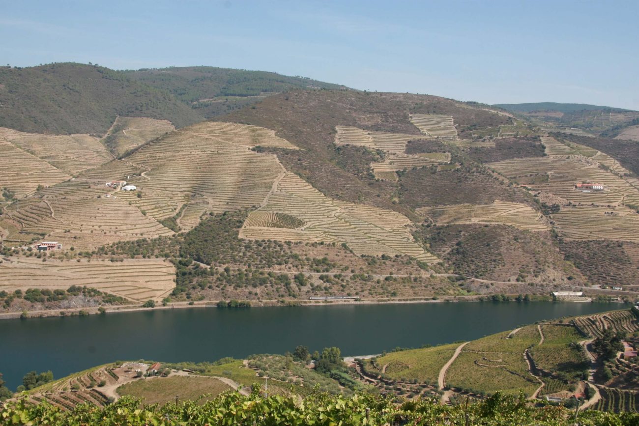 Portugal Douro Fluss Aussichtspunkt Weinberge Weinterrassen