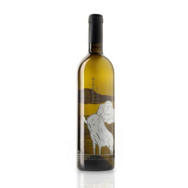 Portugal Douro DOC Weingut Weißwein Quinta de Tourais Touronio weiß Wein online kaufen