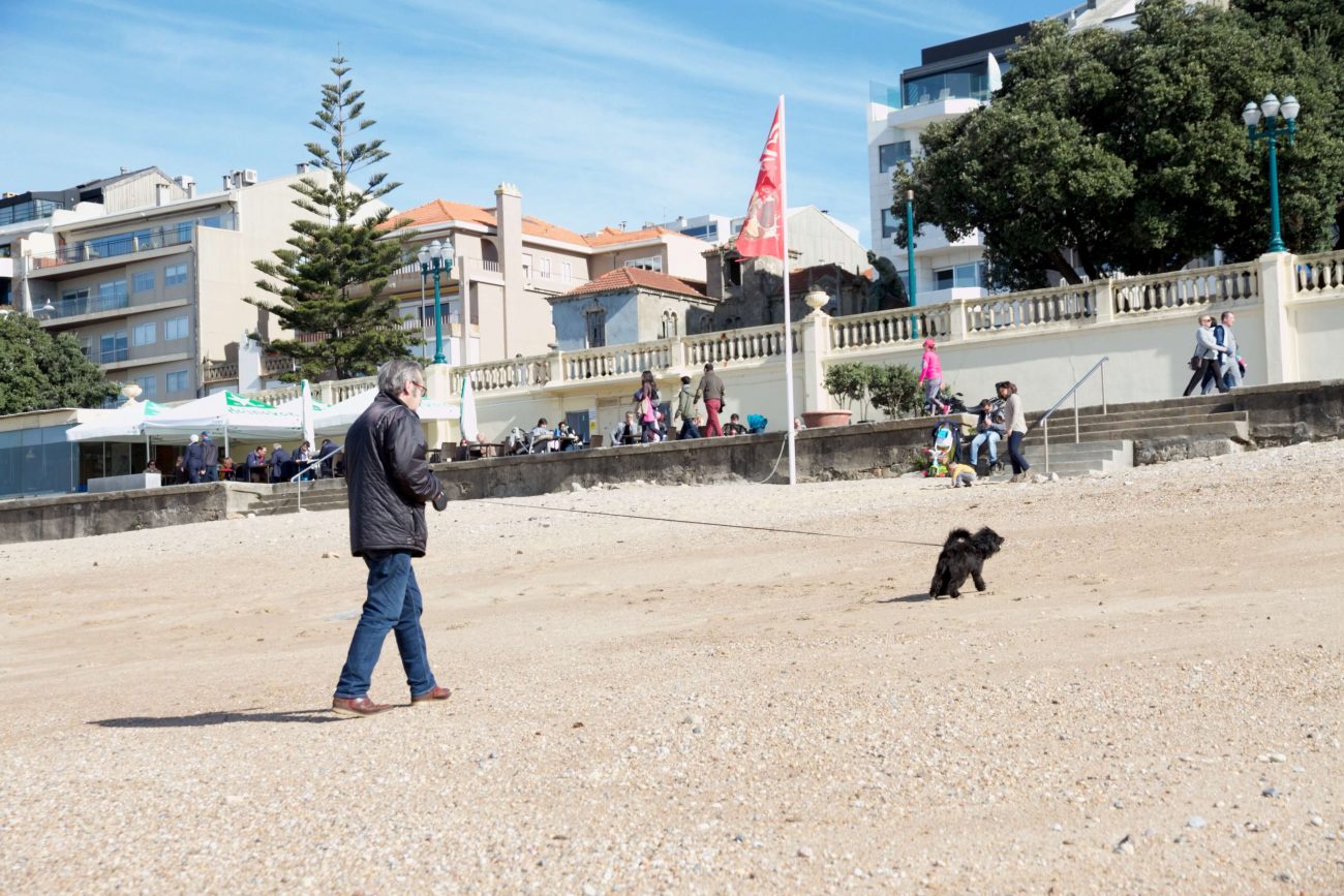 Portugal Porto Foz Strandspaziergang Hund