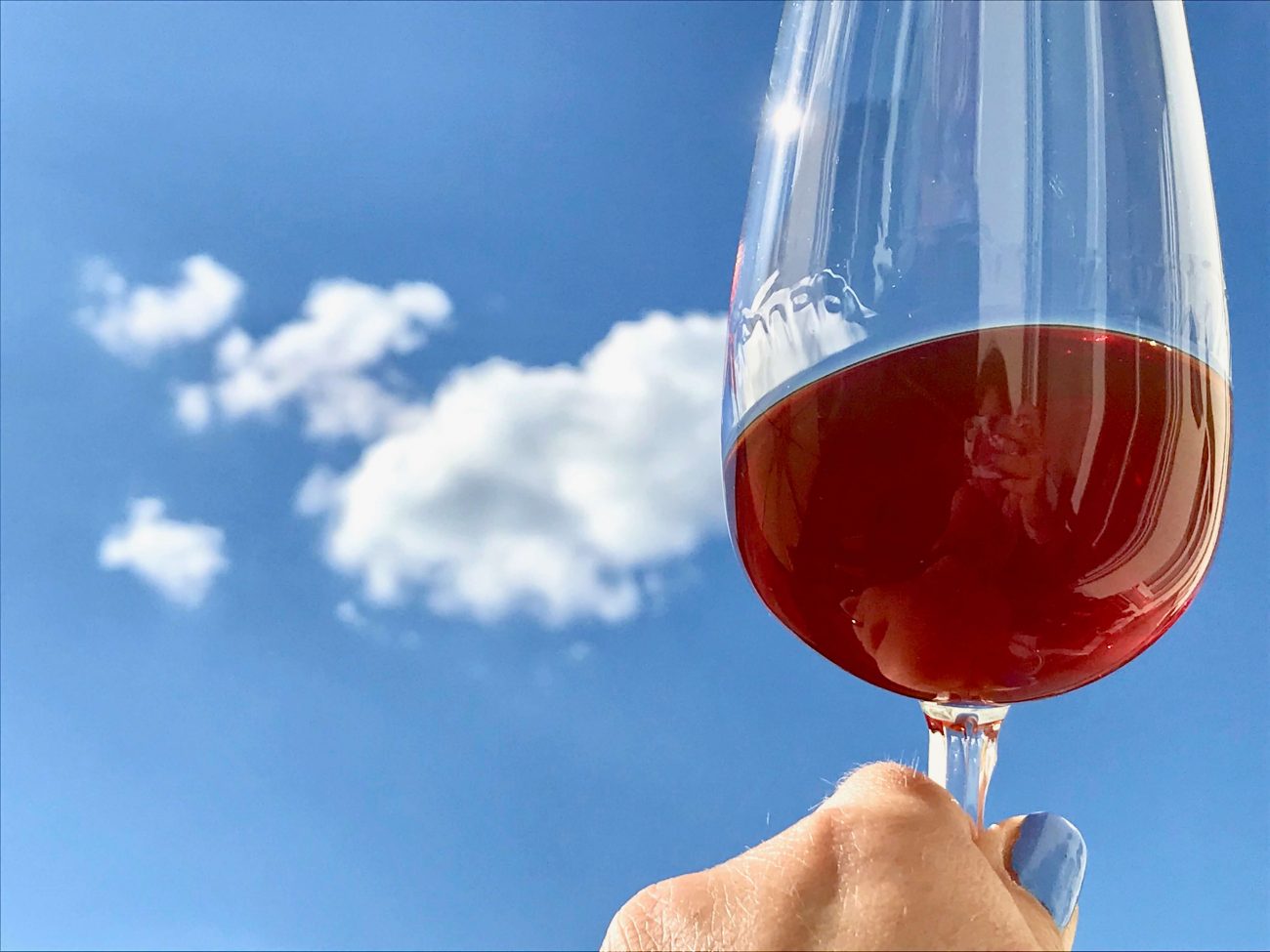 Portwein Trinktemperatur Portoeinglas Farbe Portwein