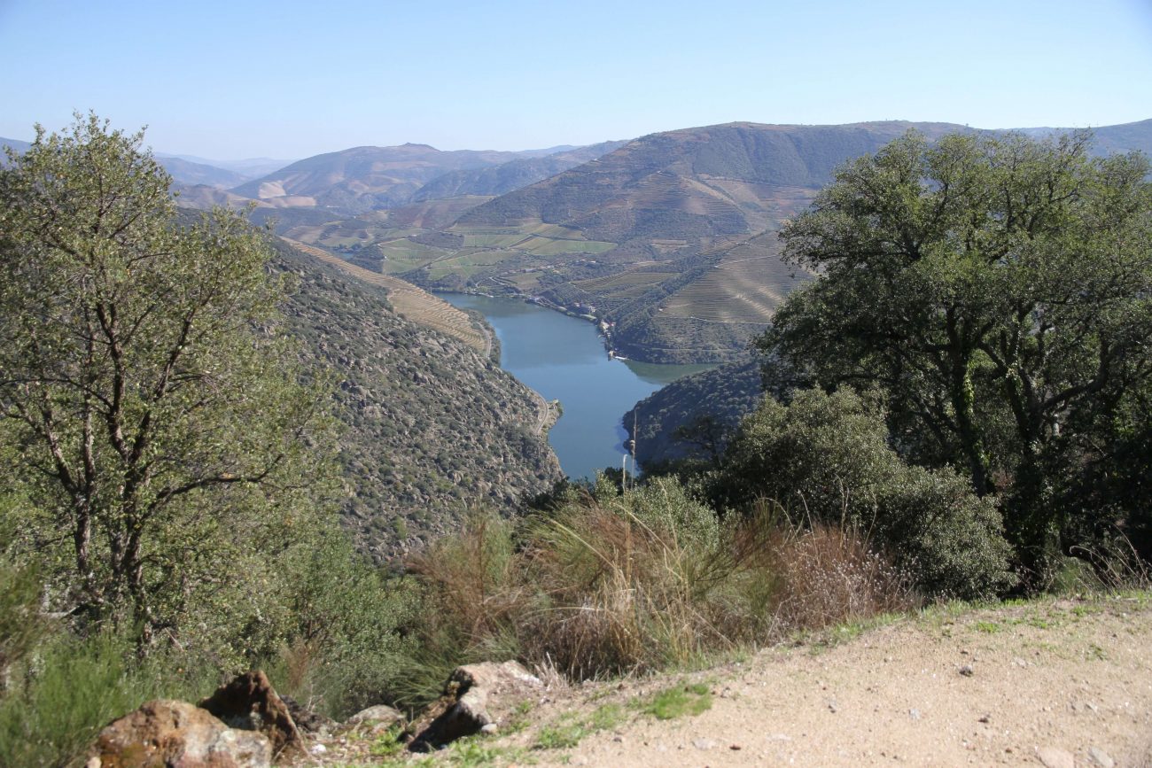 Aussichtspunkt mit einem wundervollen Blick auf den Douro-Fluss