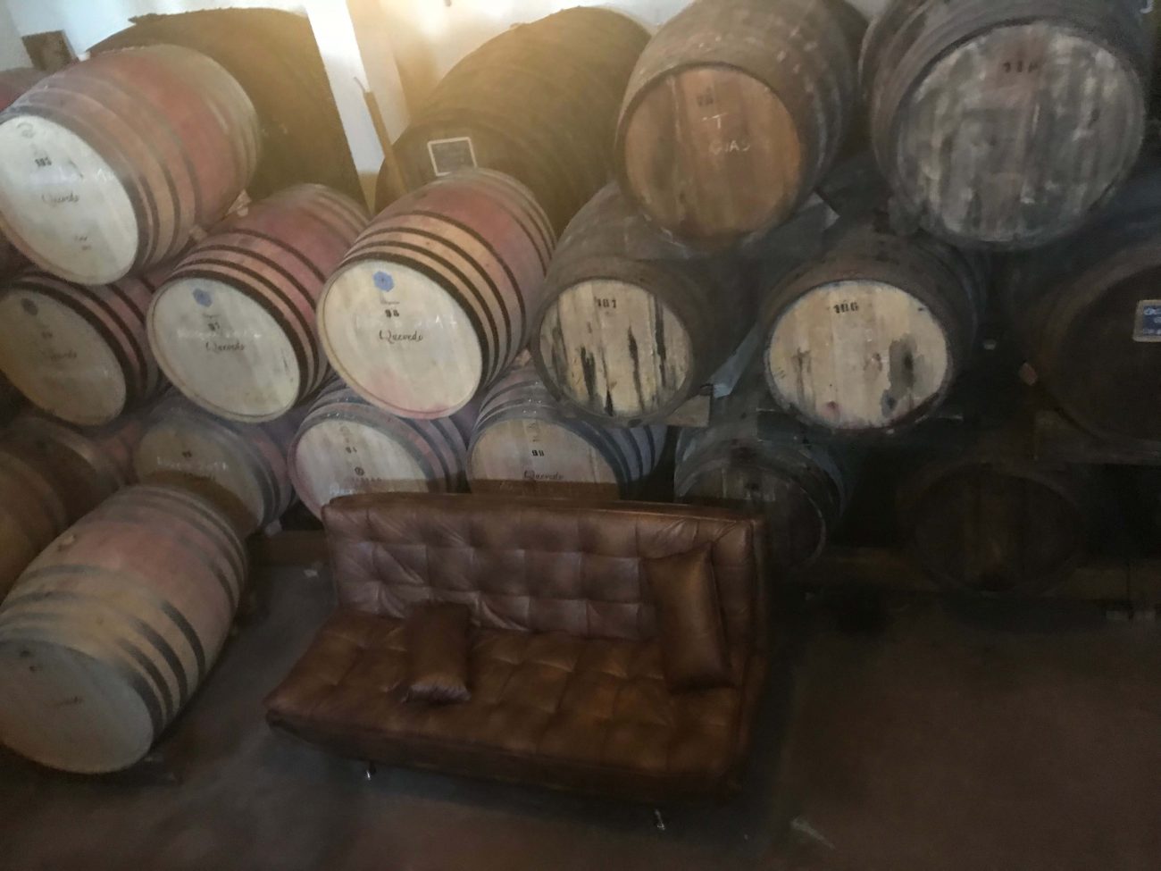 Weinsofa im Weinkeller mit Weinfässern bei Quevedo im Douro-Tal