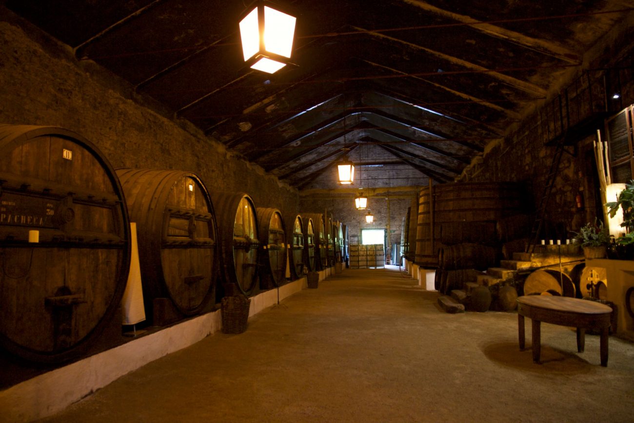 Weinkeller Besichtigung von Quinta da Pacheca im Douro-Tal bei Vila da Regua