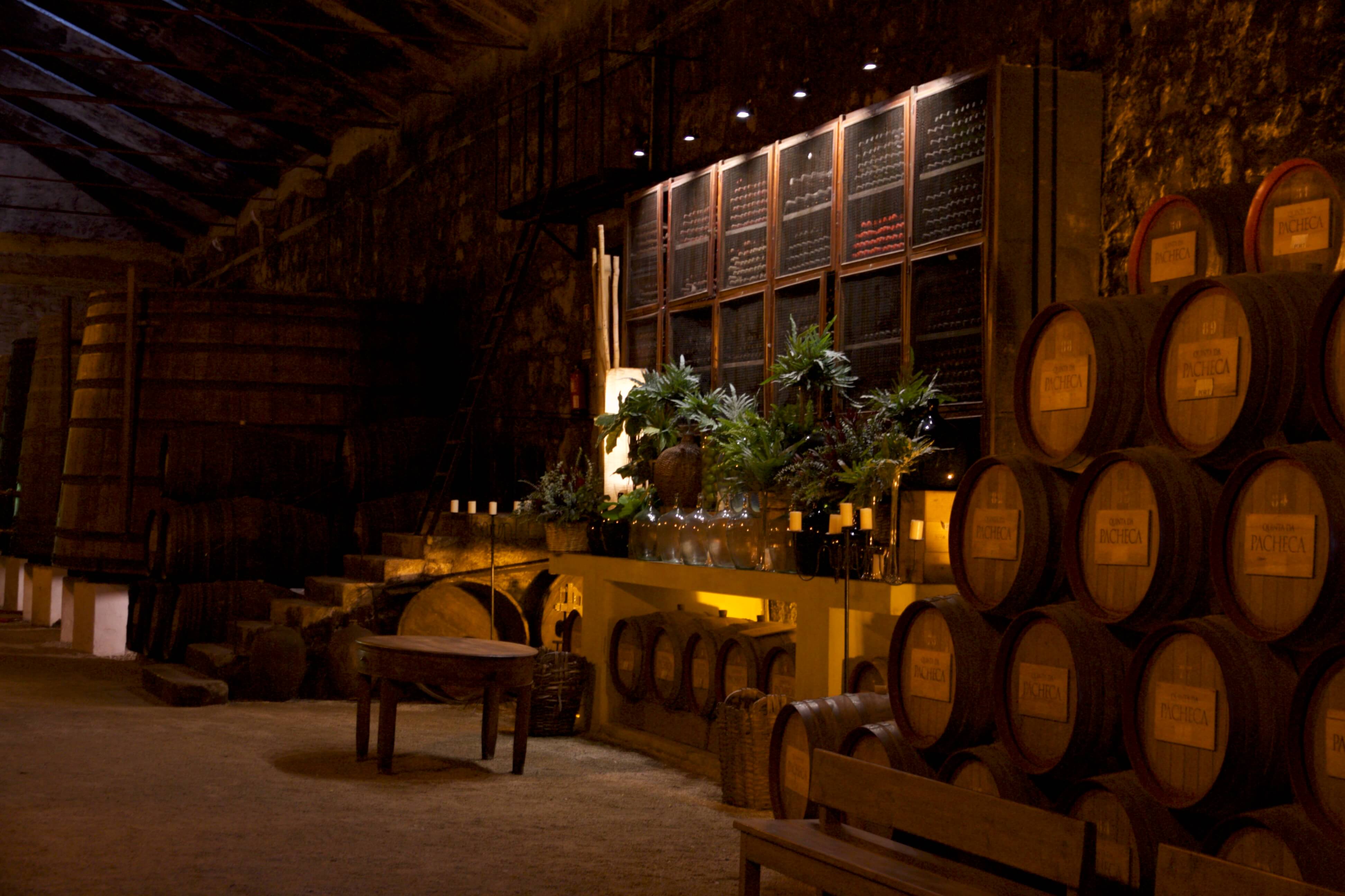 Weinkeller Besichtigung von Quinta da Pacheca im Douro-Tal bei Vila da Regua