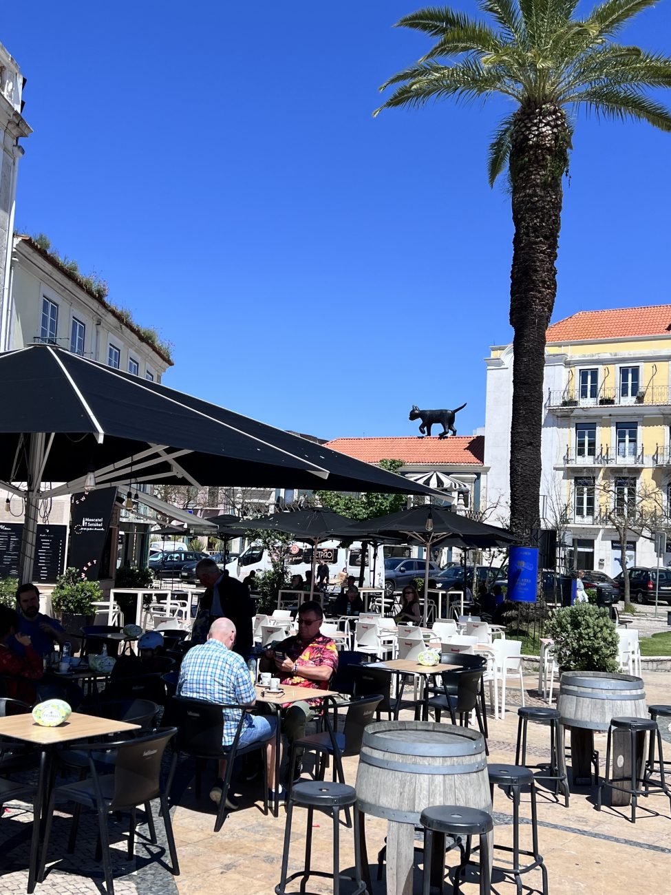Café mitten in Sesimbra mit Katze auf dem Dach